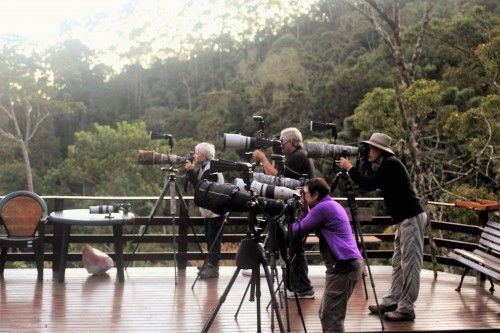 Bird watching ecolodge itotoro activities