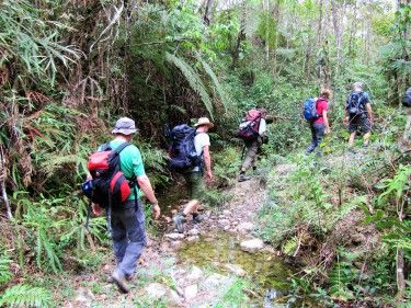 Hiking Ecolodge Itororó activities