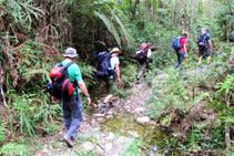 Hiking trip near Itororo eco lodge hotel in Brazil.