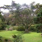 Eco-lodge Itororó