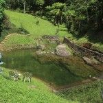 The Eco-Lodge Itororó Brazil rainforest