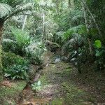 Eco Lodge Itororó Rainforest
