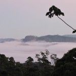 The Eco Lodge Itororó Brazil Atlantic Rainforest