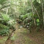 The Eco Lodge Itororó Rainforest
