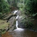 Eco Lodge Itororó Brazil Rainforest