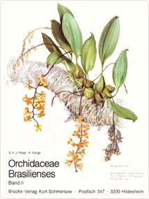 Orchidaceae Brasilienses